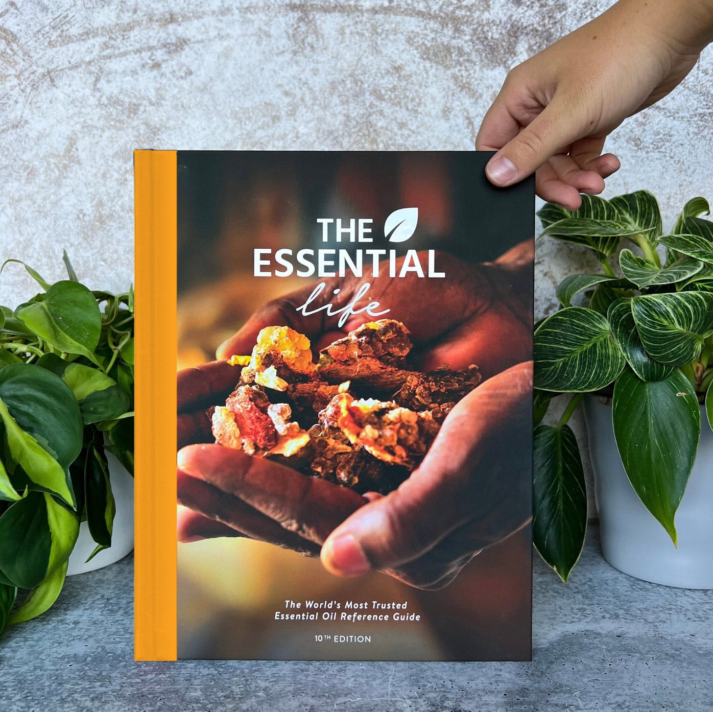 essential life 10th edition